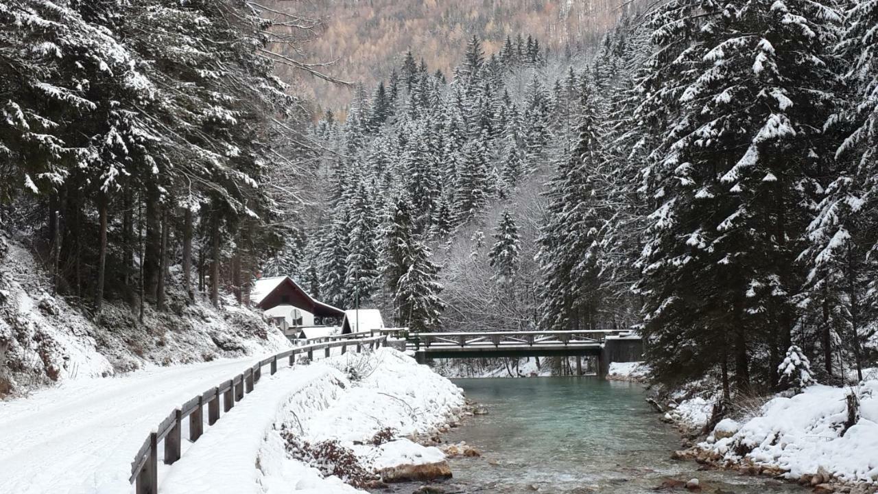 Yellow Apartma Kranjska Gora Daire Dış mekan fotoğraf