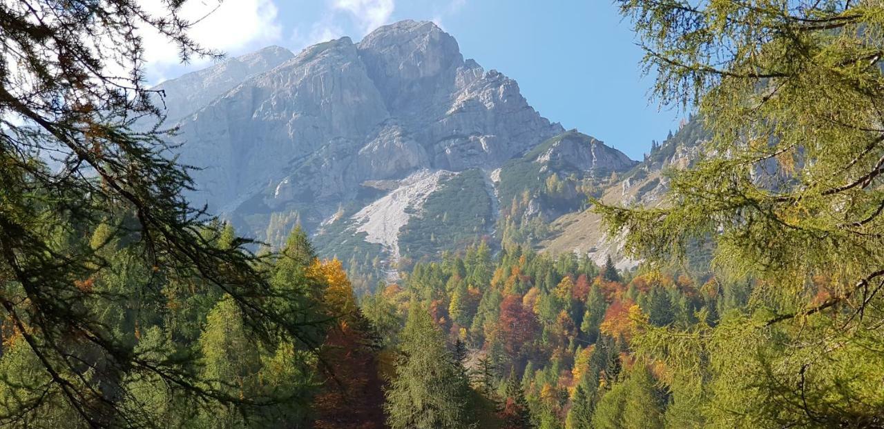 Yellow Apartma Kranjska Gora Daire Dış mekan fotoğraf